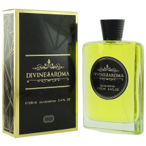 Divine Aroma 010 Tom Ford Noir De Noir, edp., 100 ml