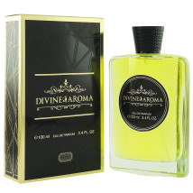Divine Aroma 005 Givenchy Pour Homme, edp., 100 ml