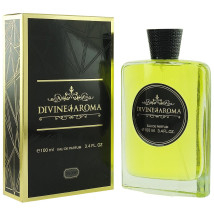 Divine Aroma 008 Paco Rabanne Invictus, edp., 100 ml